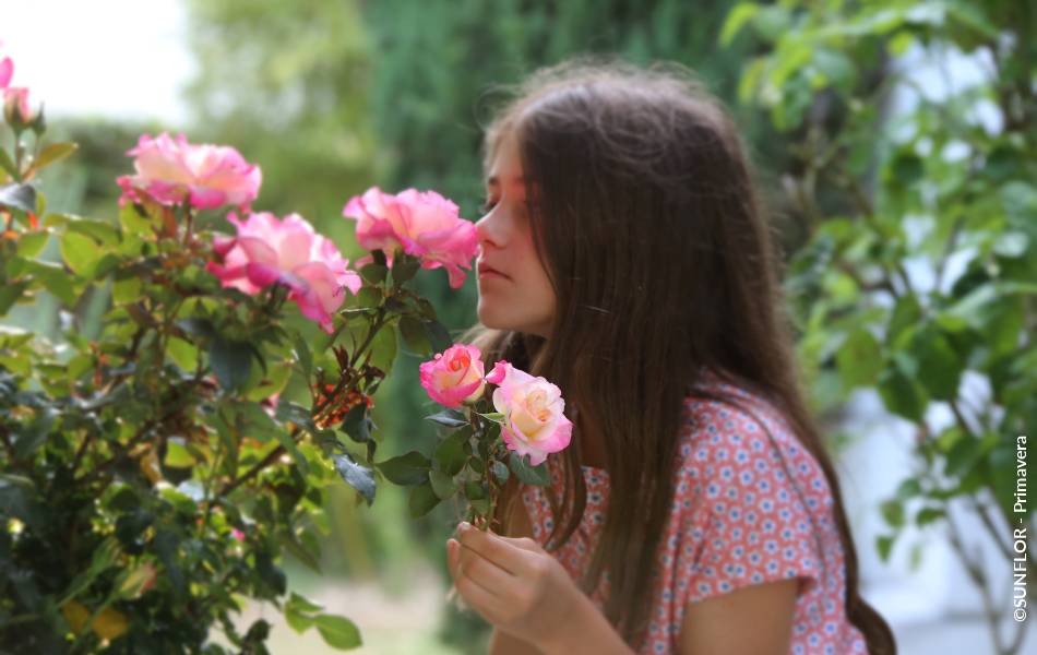 ©SUNFLOR - Primavera