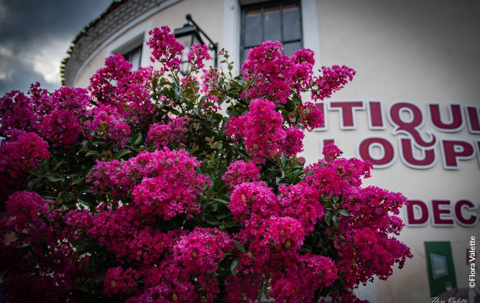 ©Flora Valette
